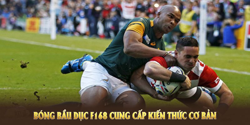 Mẹo Đặt Cược Thông Minh Khi Chơi Bóng Bầu Dục F168 5 Bóng bầu dục F168 cung cấp kiến thức cơ bản và nâng cao để người chơi tự tin